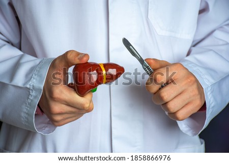 Concept photo of surgery on the liver and gallbladder (hepatobiliary area). Surgeon holds a scalpel in one hand and a figurine of a liver with a gallbladder in other, simulating a surgical operation Royalty-Free Stock Photo #1858866976