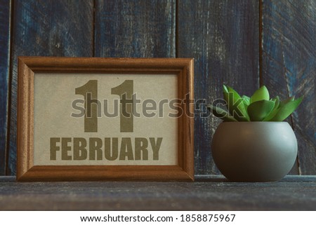 february 11th. Day 11 of month,  date in frame next to succulent on wooden background winter month, day of the year concept.