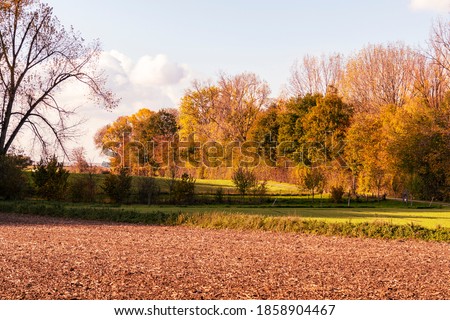 Nossegem, Belgium - November 4 2020: Beautiful day in Zaventem with the brown field and the autumn colored trees Royalty-Free Stock Photo #1858904467