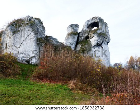 Interesting forms of rock outliers on Góra Zborów (Poland, the Trail of the Eagles' Nests) resemble, among others, silhouettes of animals and people
