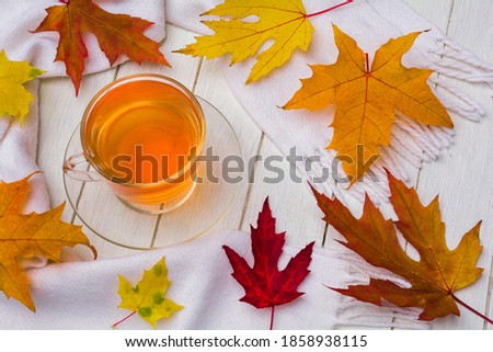 Cup of tea, warm white scarf and scattered autumn leaves on a white wooden table. Autumn concept
