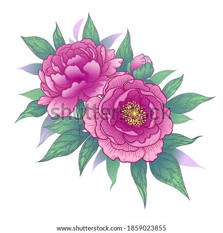 Hand drawn pink peony flowers and leaves bunch isolated on white. Vector elegant floral composition in vintage style, t-shirt, tattoo design, wedding decoration.