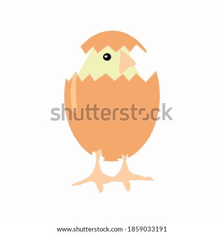 Cute yellow chick baby chicken image illustration vector. Funny picture of chicken  egg hatching. Two feet poking through the egg shell.