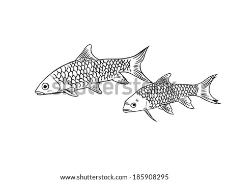 Couple fishes line art