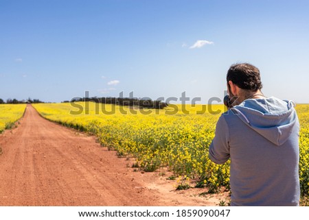 Man taking pictures with camera at canola paddocks. Yellow canola flowers at summer time. Canola is used to produce cooking oil, animal food, biodiesel and bio-plastics. Gawler ranges, South Australia