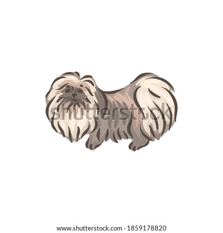 Cute dog Pekinese breed pedigree vector illustration 
