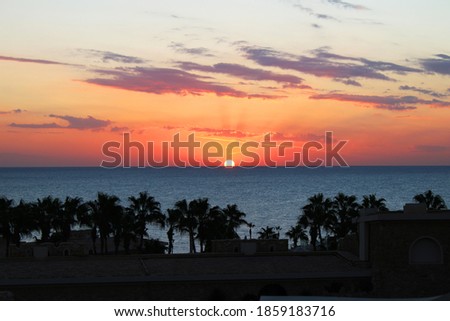Sunrise on the sea horizon, view from the hotel with palm trees