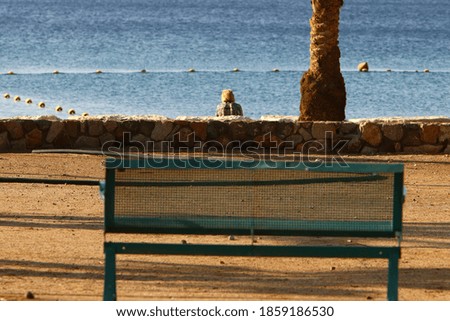 bench in a city park on the shores of the Mediterranean