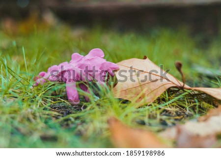 Pink plasticine figure in the shape of a monster simulates eating a leaf fallen on the grass