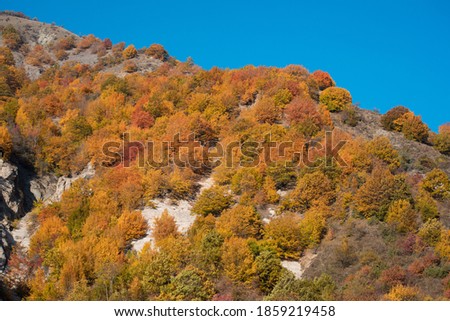 Amazing view with colorful autumn forest . Beautiful trees in fall season. Azerbaijan Nature