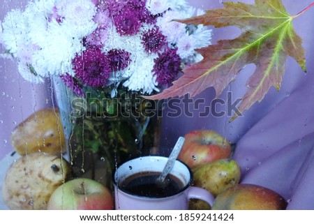 autumn flowers and fruits behind wet glass