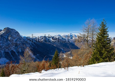 Mountain winter landscape. The first snow fell on the Dolomites. View on the Marmolada group, Italy in the unusual morning light surrounded by pine and larch trees