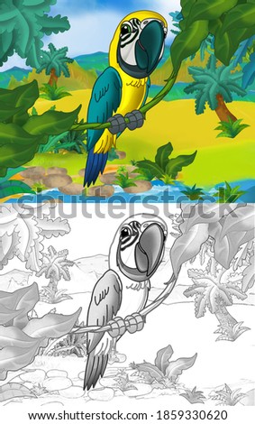 cartoon scene with wild animal parrot bird in nature - illustration for children