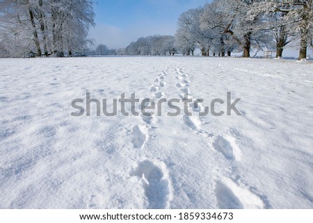 A medium shot of footprints on fresh snow on a pathway in winter. Royalty-Free Stock Photo #1859334673