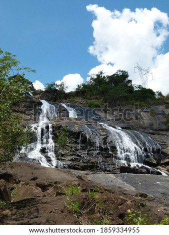 tree, rocks and a waterfall