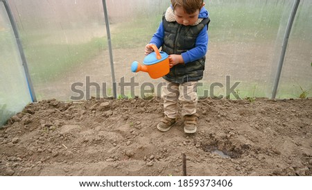 Child watering dry ground in greenhouse