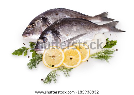 fresh fish isolated on white