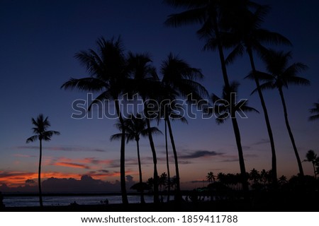 365 days of the beautiful hawaiian Paradise