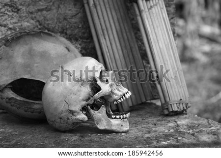 Still life art photography on skull and old musical instruments black and white version