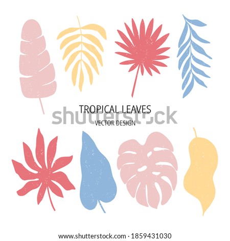 Tropical leaf flat vector illustration set. Jungle print isolated on white background. Modern poster monstera. Design for banner, advertising poster, clipart.
