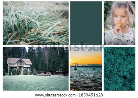Collage set made of photos toning in Tidewater Green color. Trendy creative design in color of 2021 Royalty-Free Stock Photo #1859451628