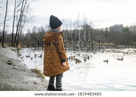 a little boy stands by the lake in winter clothes, looks at the floating ducks, a walk with a child