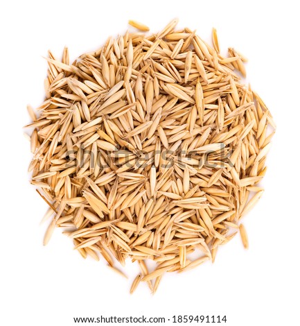Unpeeled oat grains, isolated on white background. Organic dry oat seeds. Top view. Royalty-Free Stock Photo #1859491114