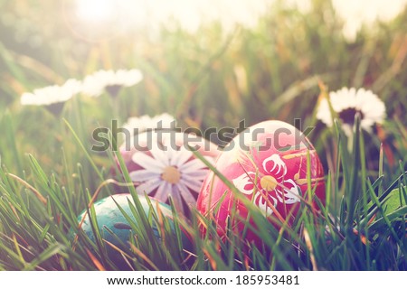 easter eggs and daisies in the grass