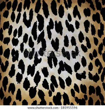 wild animal pattern background or texture close up - material