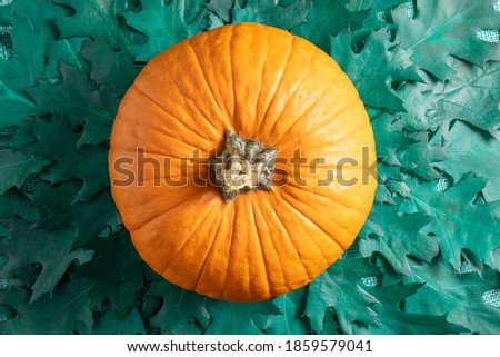 Thanksgiving day background with orange pumpkin and oak leaves. Autumn still life. Halloween holiday.