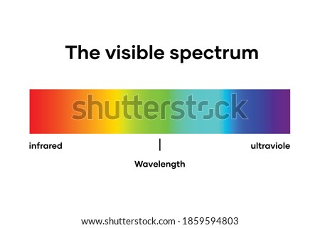 Visible light diagram. Color electromagnetic spectrum, light wave frequency. Vector illustration. 
White background