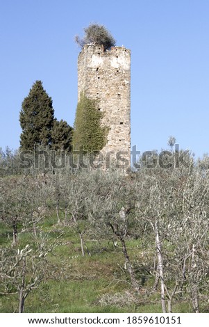 Abandoned tower in the countryside