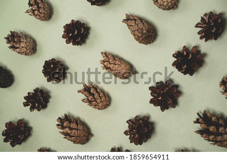Pine cones lie on a light green background, christmas picture