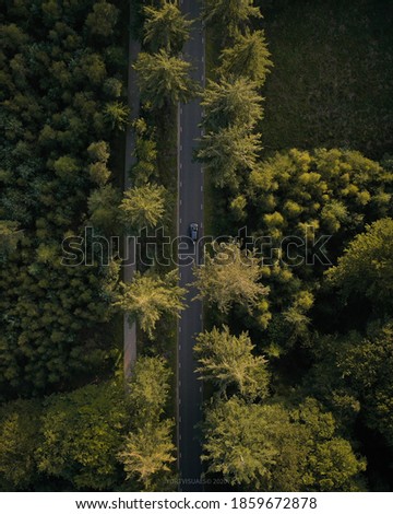 Top down drone shot of a car driving on the road in a forest sunny day outdoors aerial top down view