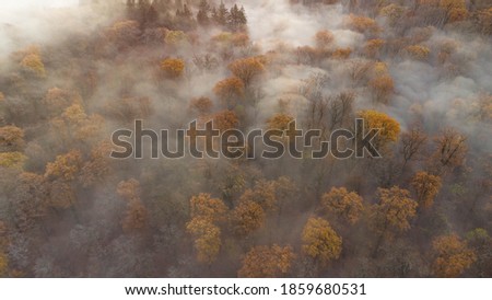 early morning sunrise foggy forrest, treetips standing out of fog autumn fall foggy fall sunrise drone shot 