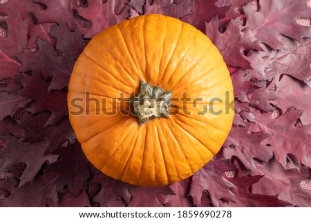 Thanksgiving day background with orange pumpkin and oak leaves. Autumn still life. Halloween holiday.