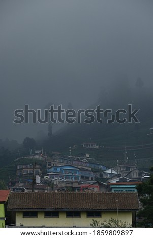 Foggy morning at Butuh Village, Sumbing Mountain, Central Java, Indonesia