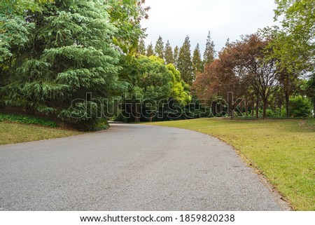 A forest road photographed on a cloudy day