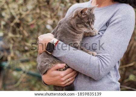 gray kitty in the arms of a girl in gray sweater