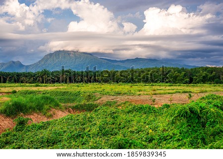 Landscape mountain view with blue sky and white cloud and green grass in evening light