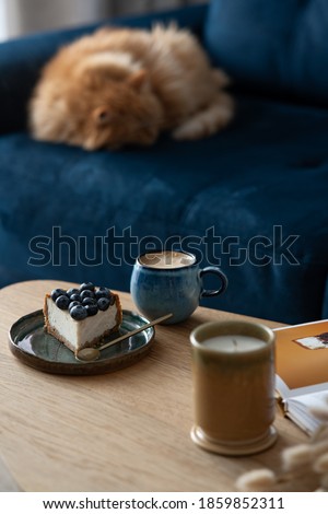 Coffee and blueberry cheesecake  for a loved one. Still life with fresh pour-over coffee and homemade cheesecake on coffee table. Blue couch and red sleeping cat, cozy room