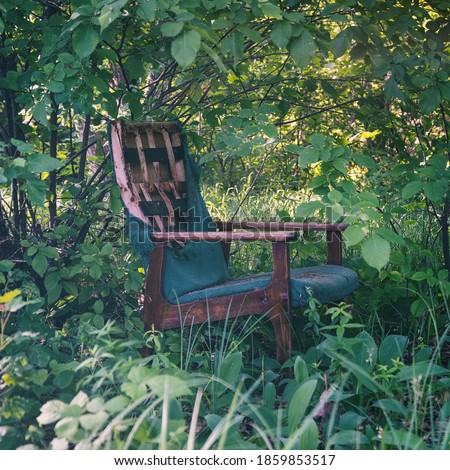An old broken chair stands alone in a thicket of green forest