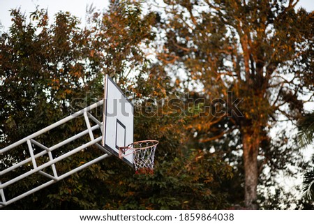 
Basketball hoop and basketball hoop On a warm sunny day it is suitable for physical exercise.