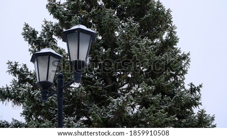 Snow on the branches of the spruce. Blurred christmas background for web design