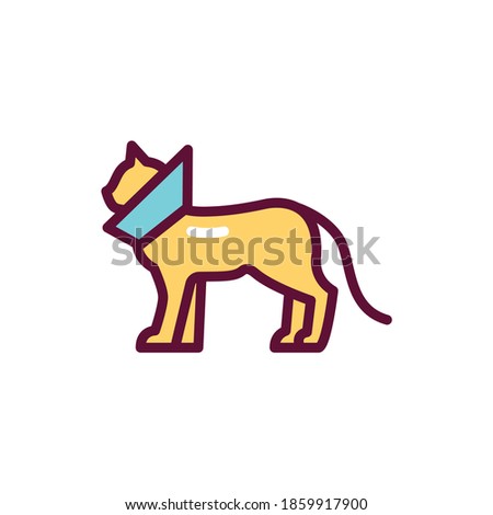 Cat in bandage color line icon. postoperative rest. Isolated vector element. Outline pictogram for web page, mobile app, promo.