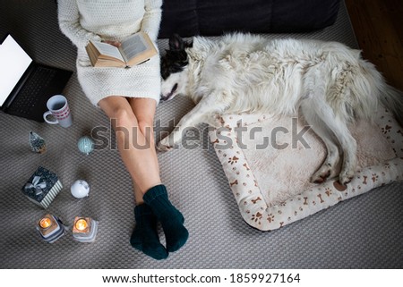 cozy Christmas time at home top view of woman and white dog