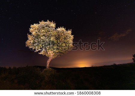 Night photography with a view of the stars, milky way and glare of lights in the orizon and illuminated tree at night