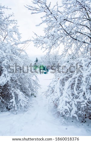 Playground Slide Surrounded by Trees Covered with Snow
