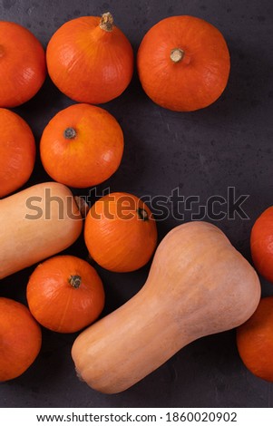 little orange pumpkins on black