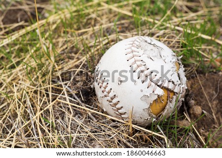 An old chewed up baseball left in the dirt and grass.